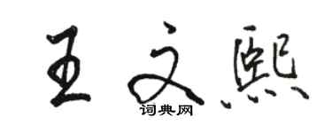 駱恆光王文熙行書個性簽名怎么寫