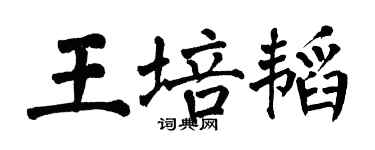 翁闓運王培韜楷書個性簽名怎么寫