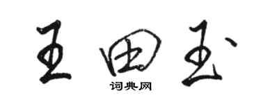 駱恆光王田玉行書個性簽名怎么寫