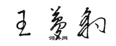 駱恆光王夢豹草書個性簽名怎么寫