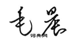 駱恆光毛晨草書個性簽名怎么寫