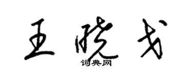 梁錦英王曉戈草書個性簽名怎么寫