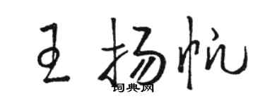 駱恆光王揚帆草書個性簽名怎么寫