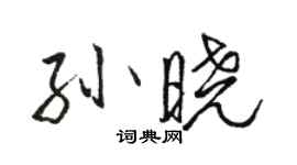 駱恆光孫曉行書個性簽名怎么寫