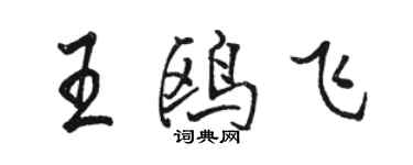 駱恆光王鷗飛行書個性簽名怎么寫