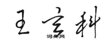 駱恆光王玄科草書個性簽名怎么寫