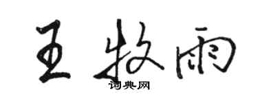 駱恆光王牧雨行書個性簽名怎么寫
