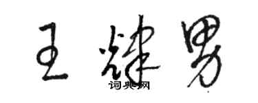 駱恆光王輝男草書個性簽名怎么寫