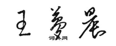 駱恆光王夢晨草書個性簽名怎么寫