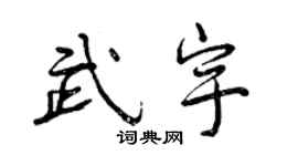 曾慶福武宇行書個性簽名怎么寫