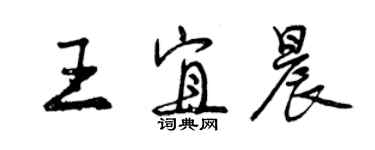 曾慶福王宜晨行書個性簽名怎么寫