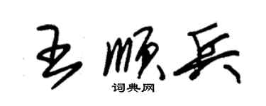 朱錫榮王順兵草書個性簽名怎么寫