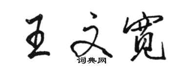 駱恆光王文寬行書個性簽名怎么寫