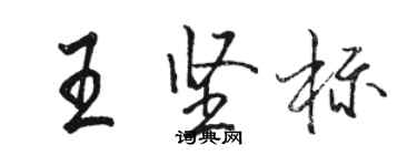 駱恆光王堅標行書個性簽名怎么寫