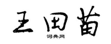 曾慶福王田苗行書個性簽名怎么寫