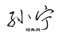 駱恆光孫寧行書個性簽名怎么寫