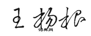 駱恆光王楊根草書個性簽名怎么寫