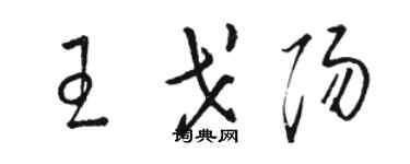 駱恆光王戈陽草書個性簽名怎么寫