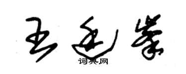 朱錫榮王廷峰草書個性簽名怎么寫