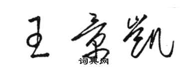 駱恆光王景凱草書個性簽名怎么寫