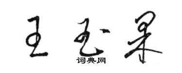 駱恆光王玉果草書個性簽名怎么寫