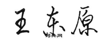 駱恆光王東原行書個性簽名怎么寫