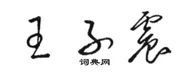 駱恆光王子震草書個性簽名怎么寫