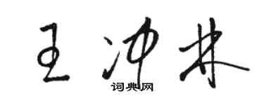 駱恆光王沖林草書個性簽名怎么寫