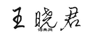 駱恆光王曉君行書個性簽名怎么寫