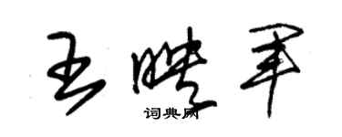 朱錫榮王映軍草書個性簽名怎么寫