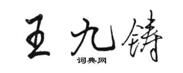 駱恆光王九鑄行書個性簽名怎么寫
