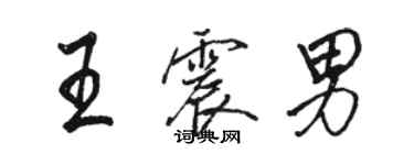 駱恆光王震男行書個性簽名怎么寫