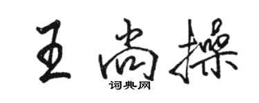 駱恆光王尚操行書個性簽名怎么寫