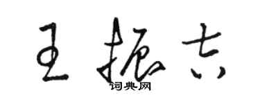 駱恆光王振吉草書個性簽名怎么寫