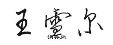 駱恆光王雪爾行書個性簽名怎么寫