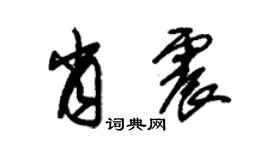 朱錫榮肖震草書個性簽名怎么寫