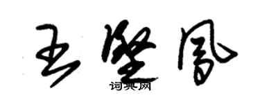 朱錫榮王堅鳳草書個性簽名怎么寫