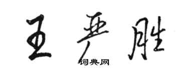 駱恆光王嚴勝行書個性簽名怎么寫