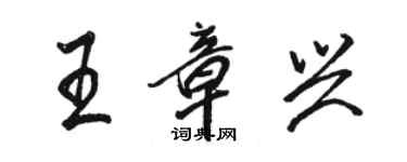 駱恆光王章興行書個性簽名怎么寫