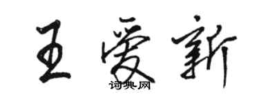 駱恆光王愛新行書個性簽名怎么寫