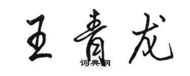 駱恆光王青龍行書個性簽名怎么寫