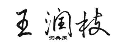 駱恆光王潤枝行書個性簽名怎么寫