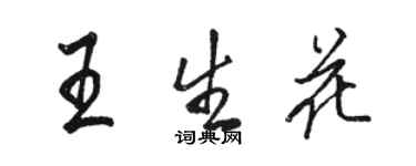 駱恆光王生花行書個性簽名怎么寫