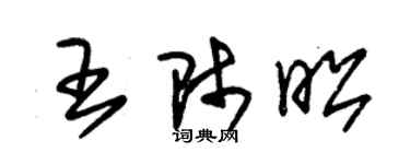 朱錫榮王師昭草書個性簽名怎么寫