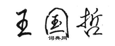 駱恆光王國哲行書個性簽名怎么寫