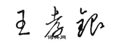 駱恆光王孝銀草書個性簽名怎么寫