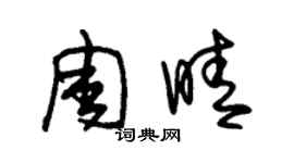 朱錫榮周晴草書個性簽名怎么寫