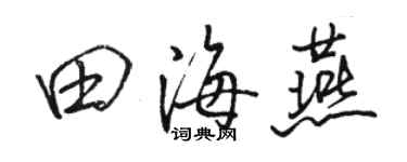 駱恆光田海燕行書個性簽名怎么寫