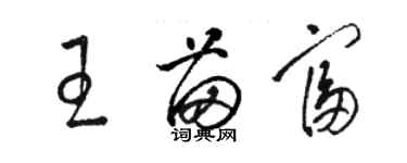 駱恆光王苗富草書個性簽名怎么寫