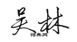 駱恆光吳林行書個性簽名怎么寫